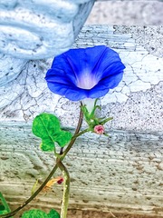 77EB5B05-3BC5-4E79-A8BF-8CA2CB467FB2/L0/001