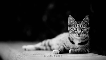 IMG_9699黑白