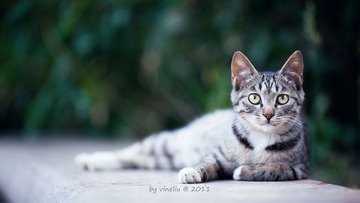 IMG_9699冷调