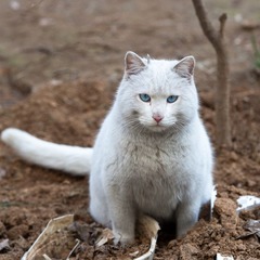 IMG_5795.jpg