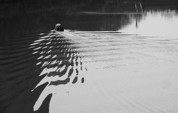 tmp_853c6c0a2d87517e849797b35296e96c117255d71de66e22f72c8f487515d030