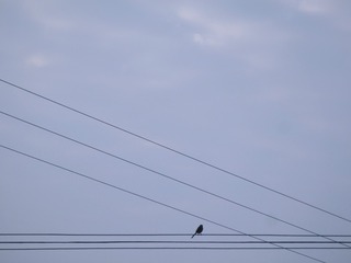 tmp_ca3c9a366cfb3928f6e1614f1f78e8d18b0429c67c08d7b7bbe5049c6c9e9e16