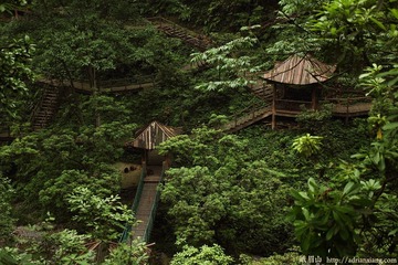 黑龙江栈道