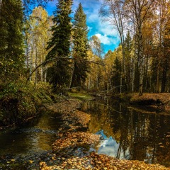 CF001839-Pano