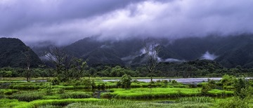 CF001721 1