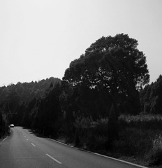 路