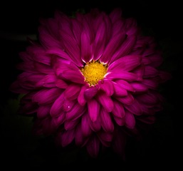39050