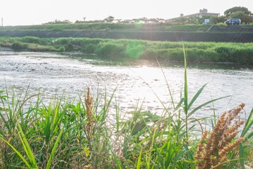 P1000082