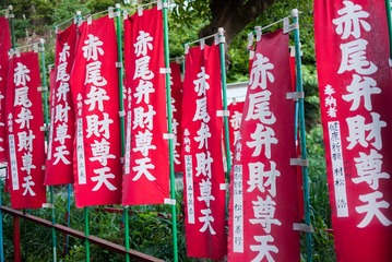 P1000115