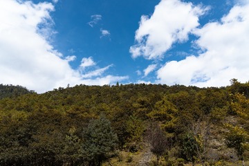 20191024-DSC04133
