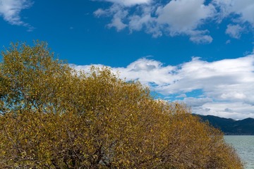 20191022-DSC03780