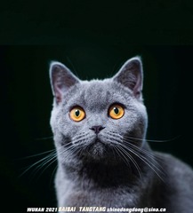 62563