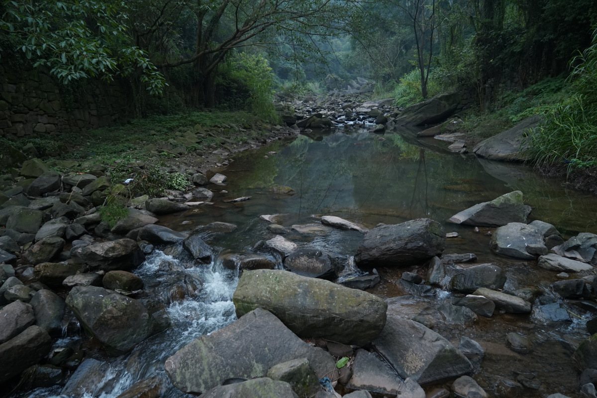 东溪且留下当待春中草木蔓发春山可望轻鲦出水白鸥矫翼露湿青皋麦陇朝