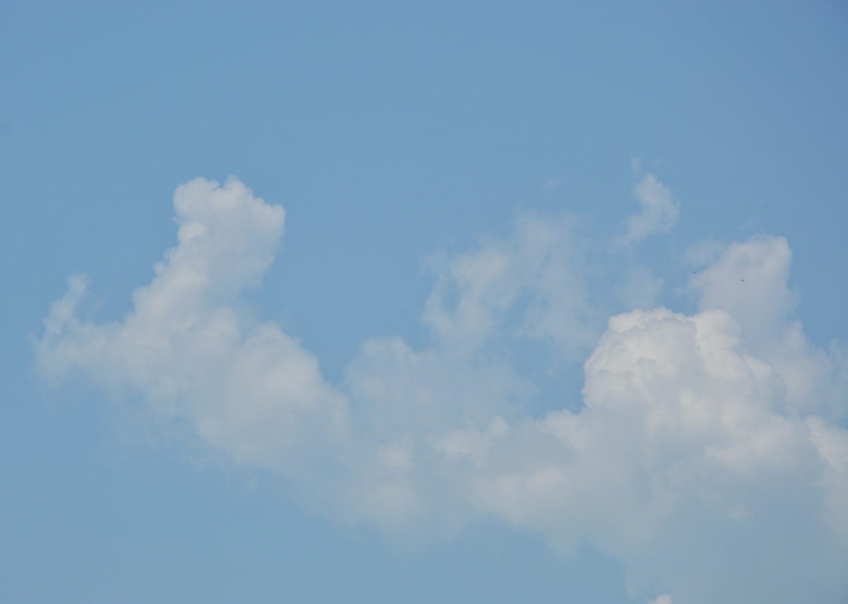 最喜欢温柔的天空