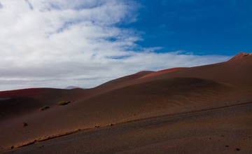 IMG_7491-1