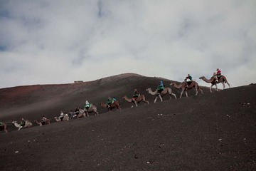 IMG_7494-2