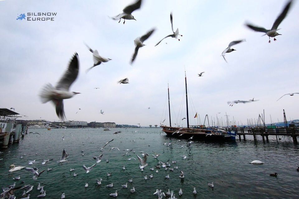 IMG_3537<br />

