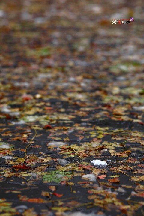 IMG_1562<br />
