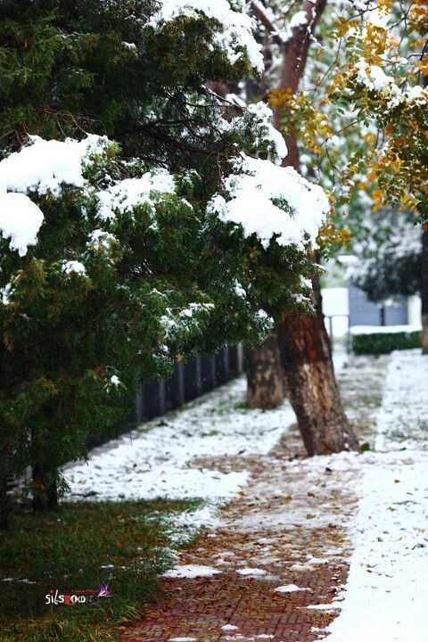 IMG_1558<br />
