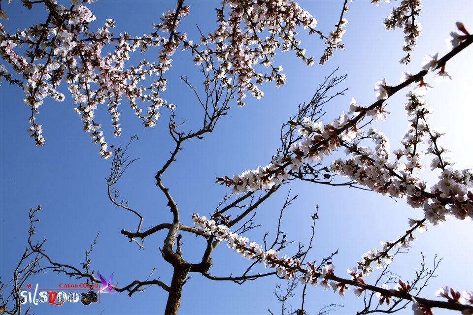 IMG_6570-1200<br />
