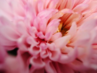 花露世界 牛悦 (3).jpg
