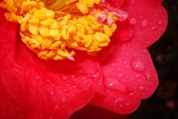 20130406 (12)副本.jpg