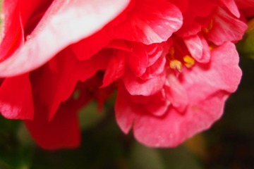 20130406 (20)副本.jpg