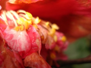 20130406 (32).JPG