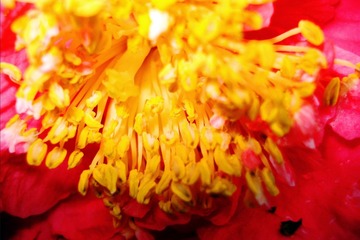 20130406 (37)副本.jpg