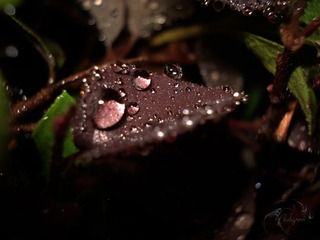DSC07336副本副本.jpg