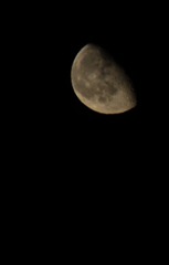 1000029329