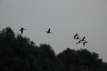DSC_5918_看图王__