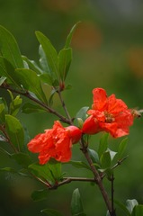 DSC_1195_看图王