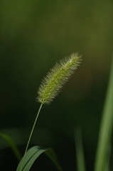 DSC_2289_看图王