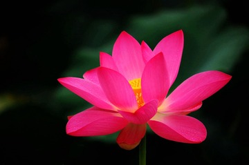 DSC_3258_看图王__看图王