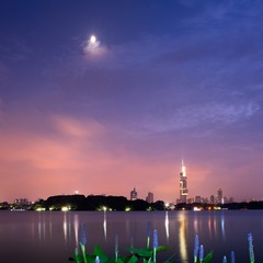 那年七夕的月亮