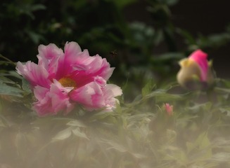 57B157F3-1F9C-44D7-9310-2DBF595B2BA9/L0/001