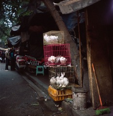 Untitled-4