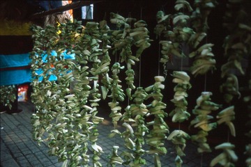 Untitled-12