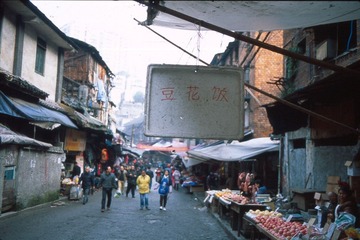 Untitled-17