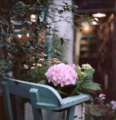 Untitled-7