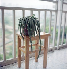 Untitled-35
