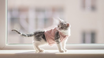 77135