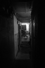 R0019648