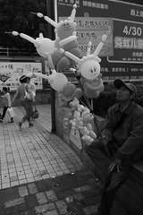 R0021244