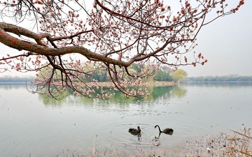 R0021453