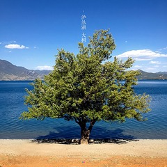 IMG_5074OP