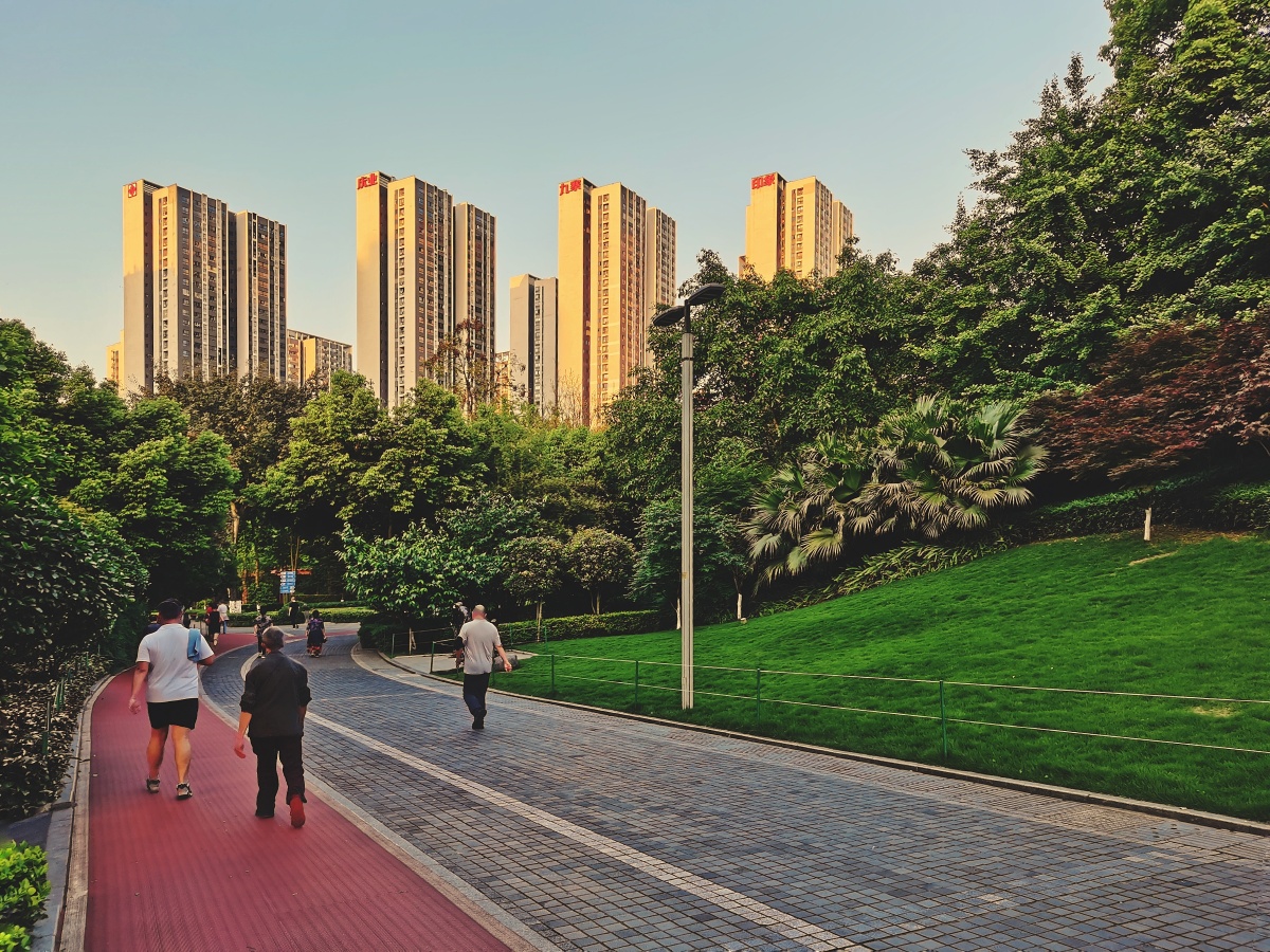 手机拍摄于重庆龙头寺公园.