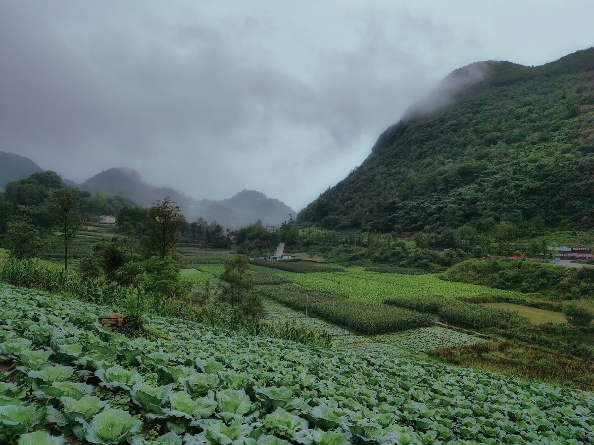 山谷云雾雨后的山谷云雾缭绕拍摄于重庆武隆双河镇