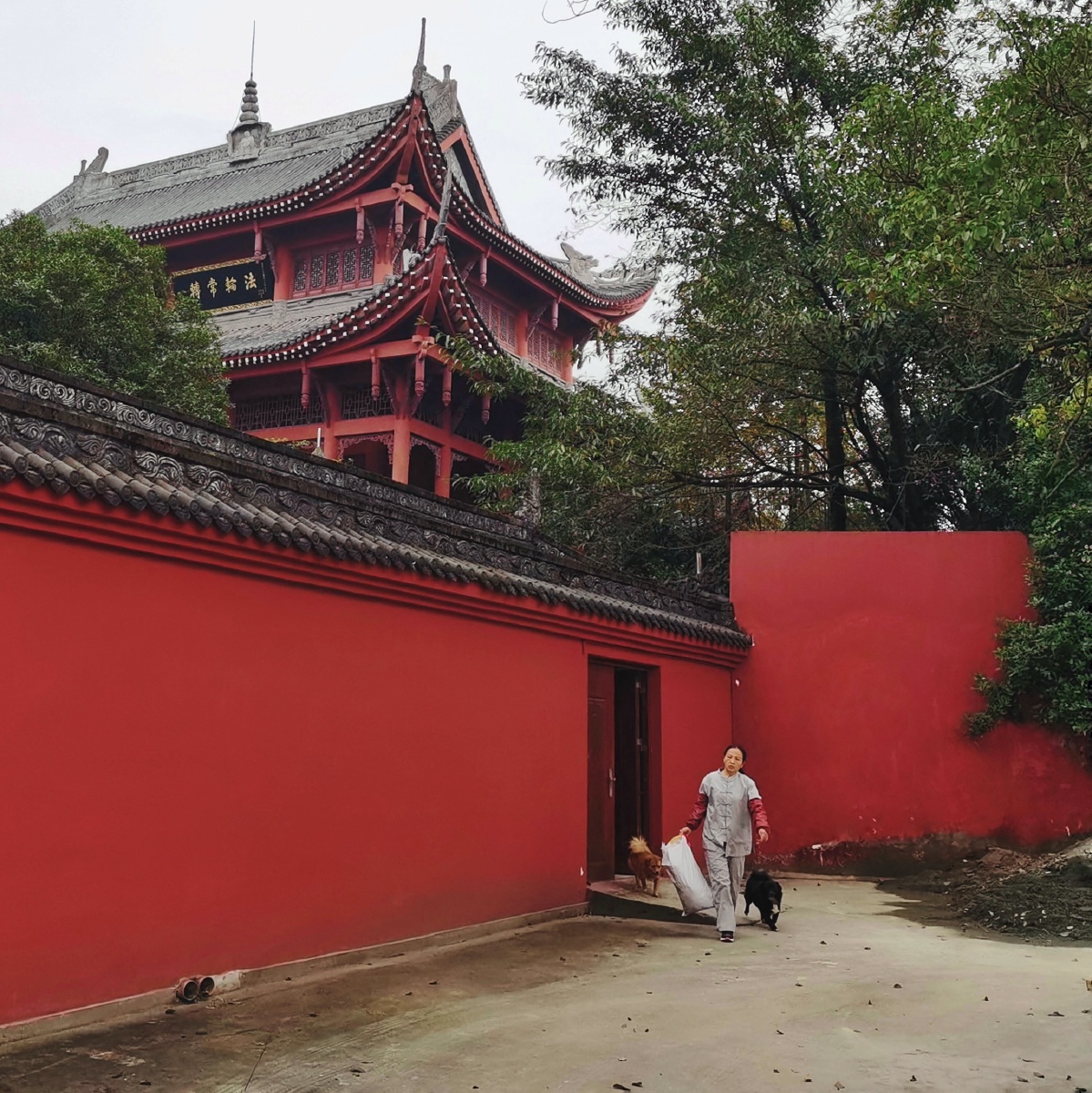 红墙内外重庆巴南云篆寺